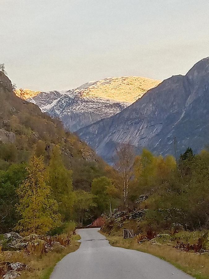 Mallabu Eidfjord Eksteriør billede